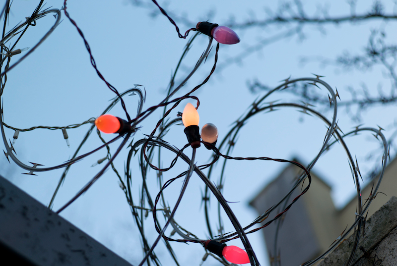 Illustration for article titled Photo Contest: Christmas Lights
